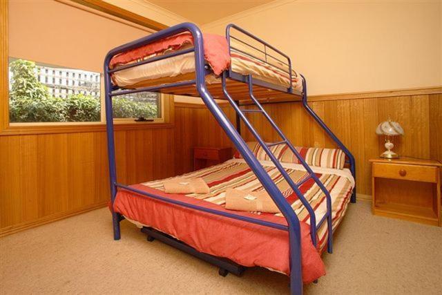 Apollo Bay Backpackers Lodge Δωμάτιο φωτογραφία
